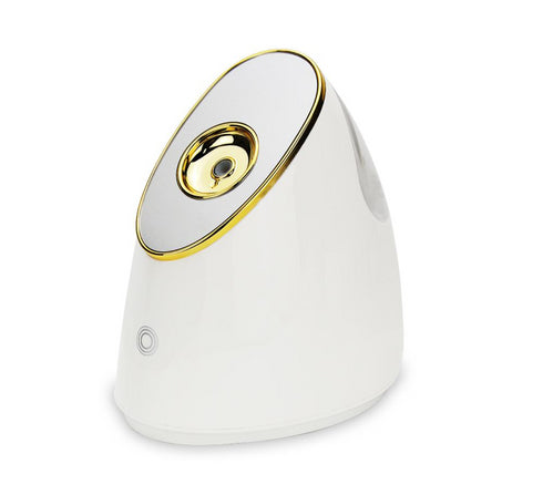 Ionic Facial Steamer